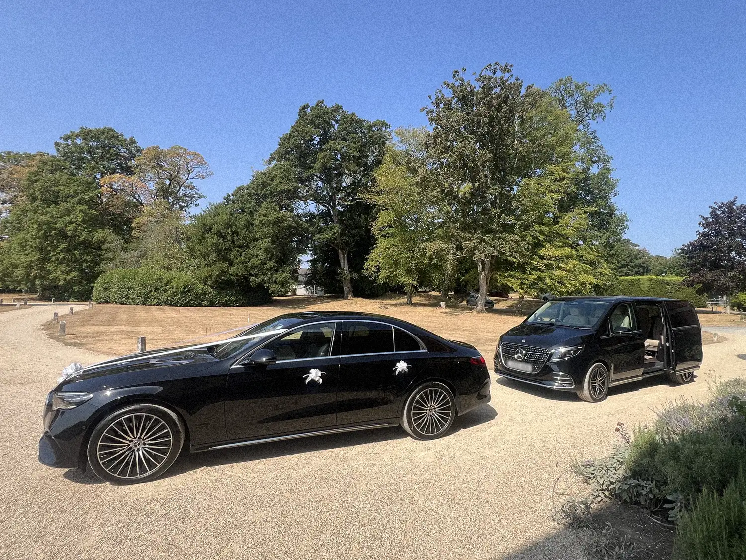 Black Mercedes saloon Bridal car and people carrier decorated with white wedding ribbons, parked beneath trees