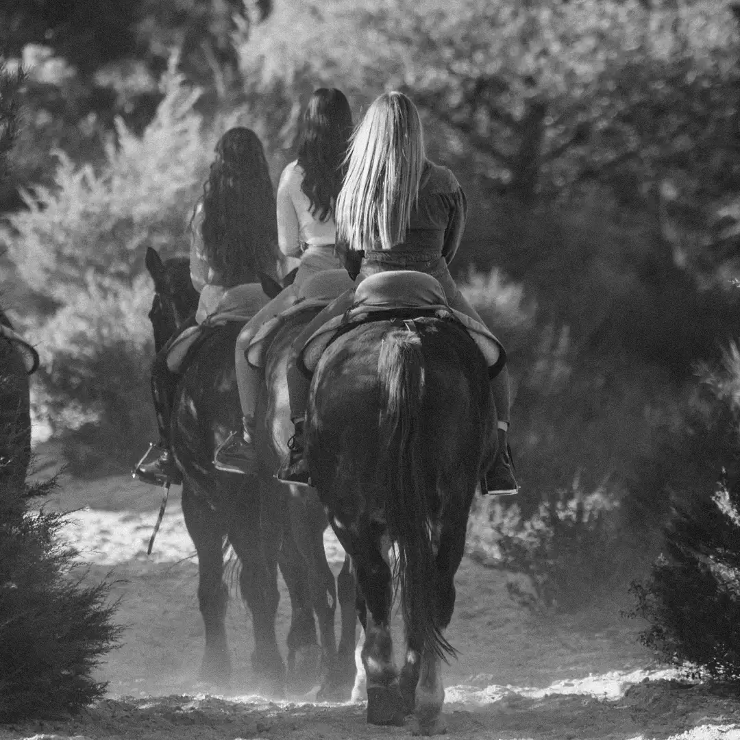 Three riders on horseback seen from behind on a wooded trail, in black and white